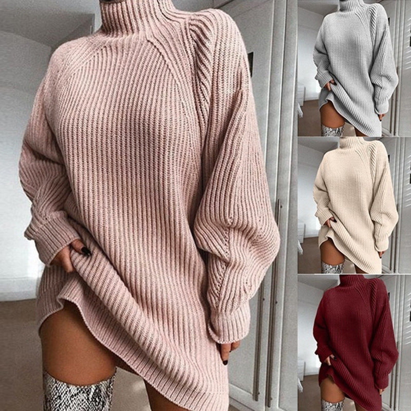 Winter Warmth Turtleneck Women's Sweater Dress