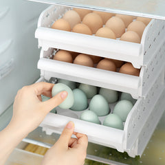 Refrigerator Egg Storage Box