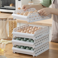 Refrigerator Egg Storage Box