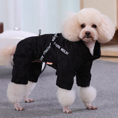 Bichon Winter Fashion for Small Dogs