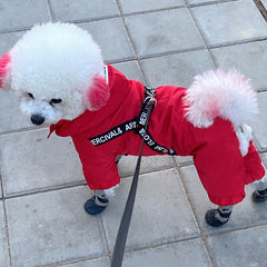 Bichon Winter Fashion for Small Dogs