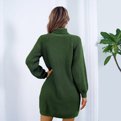 Winter Turtleneck Sweater Dress Long Sleeves