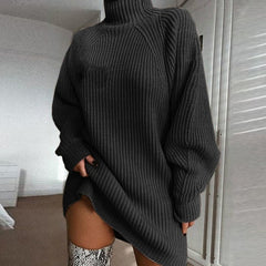 Winter Warmth Turtleneck Women's Sweater Dress