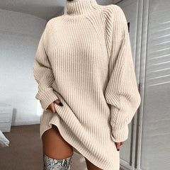 Winter Warmth Turtleneck Women's Sweater Dress