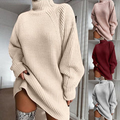 Winter Warmth Turtleneck Women's Sweater Dress