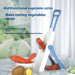 Vegetable Chopper and Potato Grater