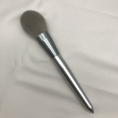 10 Moonlight Silver Makeup Brush Set