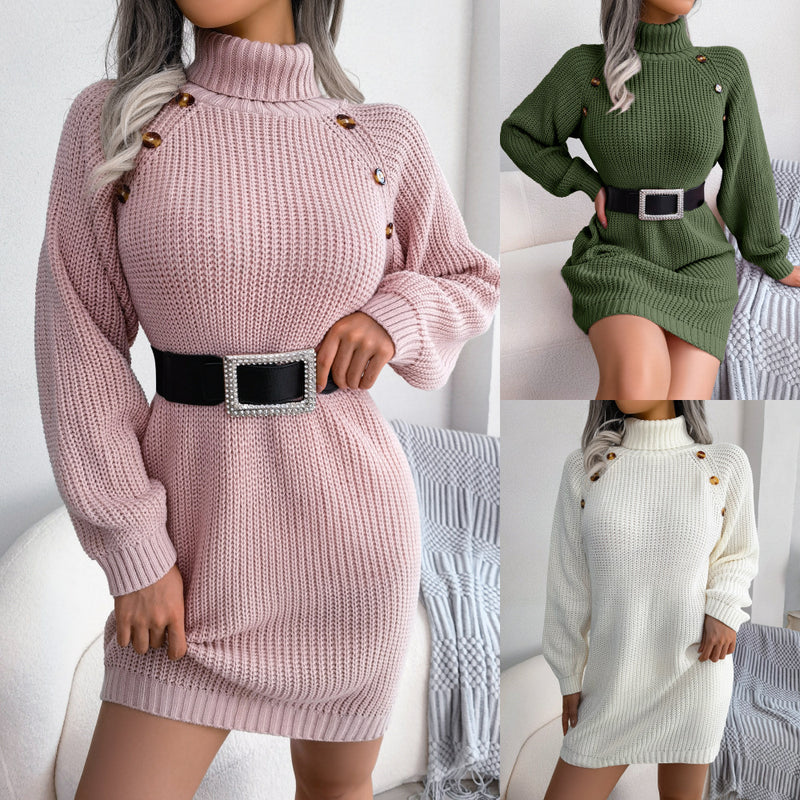 Winter Turtleneck Sweater Dress Long Sleeves